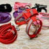 Dog, Cat Harness with  Bow and Rhinestone, Dog, Cat, Small pet collar